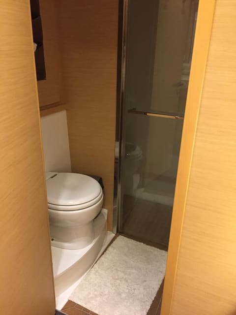 2015 Lagoon 560 S2 – deniz tipi tuvalet, cam duşakabin ve ahşap görünümlü panellerle kabine bağlı banyo