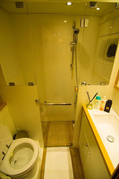 2012 Lagoon 560 – cam duş kabini, tik zemin, klozet ve lavabolu dolap bulunan banyo